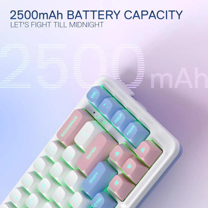 Redragon K709 PRO 65% Wireless Gasket RGB Gaming Keyboard, 68 Keys Hot-Swap Compact Mechanical Keyboard W/Free-Mod Socket, 5-Layer Noise Dampening & round PBT Keycaps, Quiet Custom Linear Switch